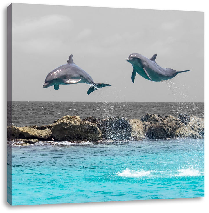Pixxprint Zwei hoch springende Delphine als Leinwandbild Quadratisch/Grösse: 70x70 / Wandbild/Kunstd