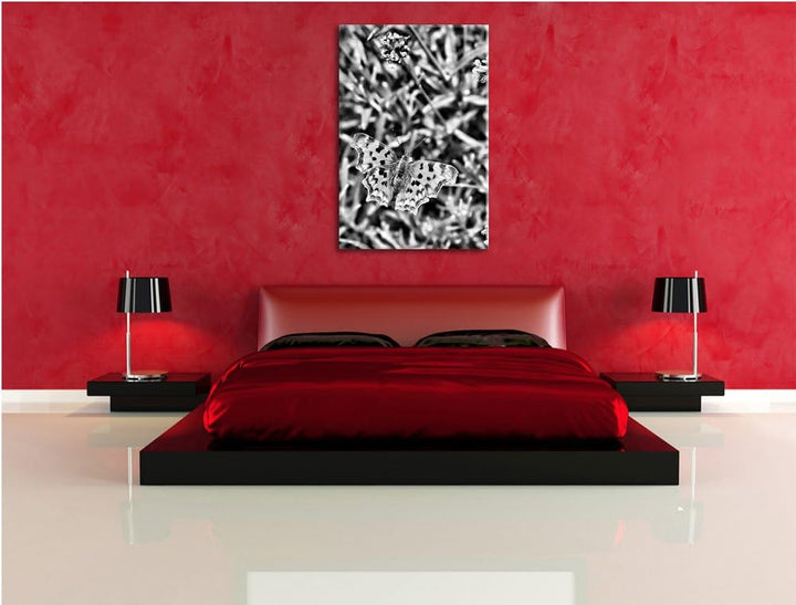 Pixxprint Monocrome, schöner Schmetterling auf Blumenwiese, Format: 100x70 auf Leinwand, XXL riesige
