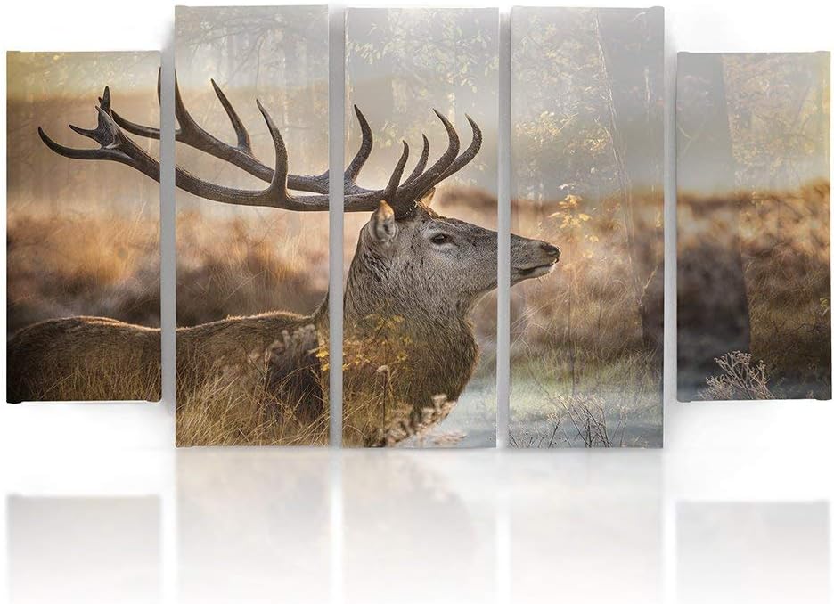 Feeby. Leinwandbild - 5 Teile - Bilder, Wand Bild, Wandbilder, Kunstdruck XXL, 5-Teilig, Typ B, 200x