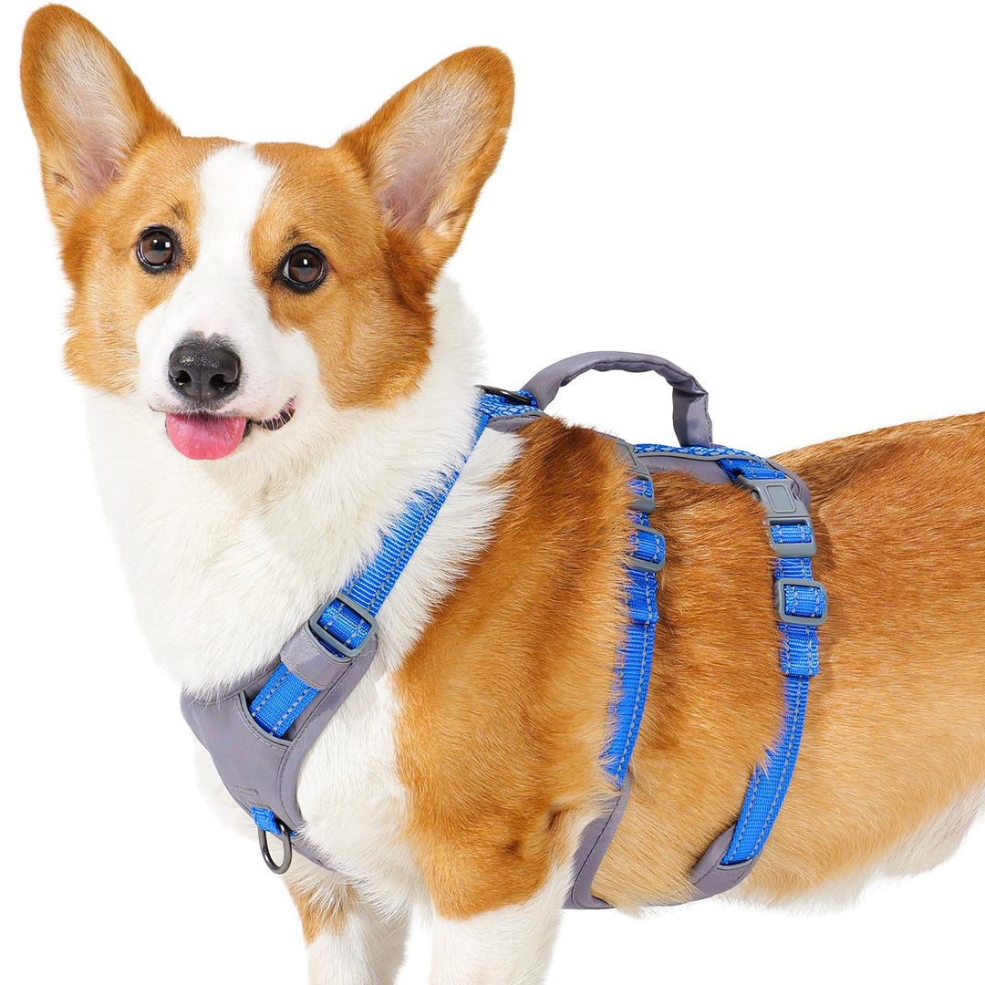 Huntboo Sicherheitsgeschirr Hund Ausbruchsicher, Panikgeschirr für Hunde, Reflektierendes Geschirr H
