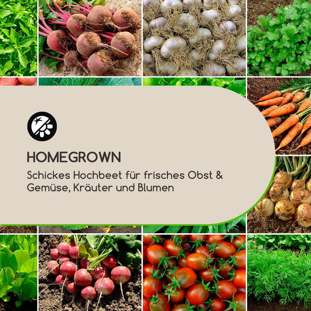 blumfeldt Modu Grow - Hochbeet, Pflanzschale, Blumenkasten, Blumenkübel, solides und haltbares Kiefe