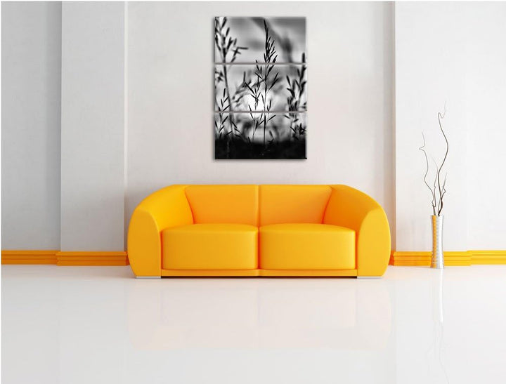 Pixxprint Gras bei Sonnenuntergang als Leinwandbild/Grösse: 3 Teilig (120x80) cm/Wandbild/Kunstdruck