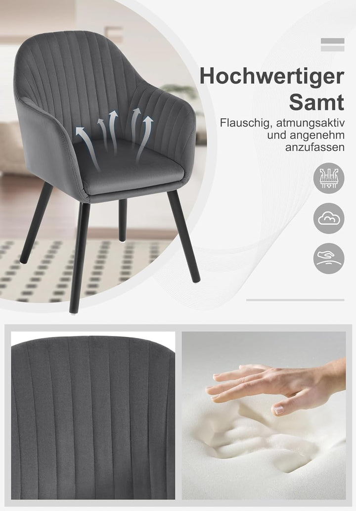 WOLTU Esszimmerstühle 2er Set, für Schlafzimmer Küche Wohnzimmer, Küchenstühle gepolstert mit Armleh
