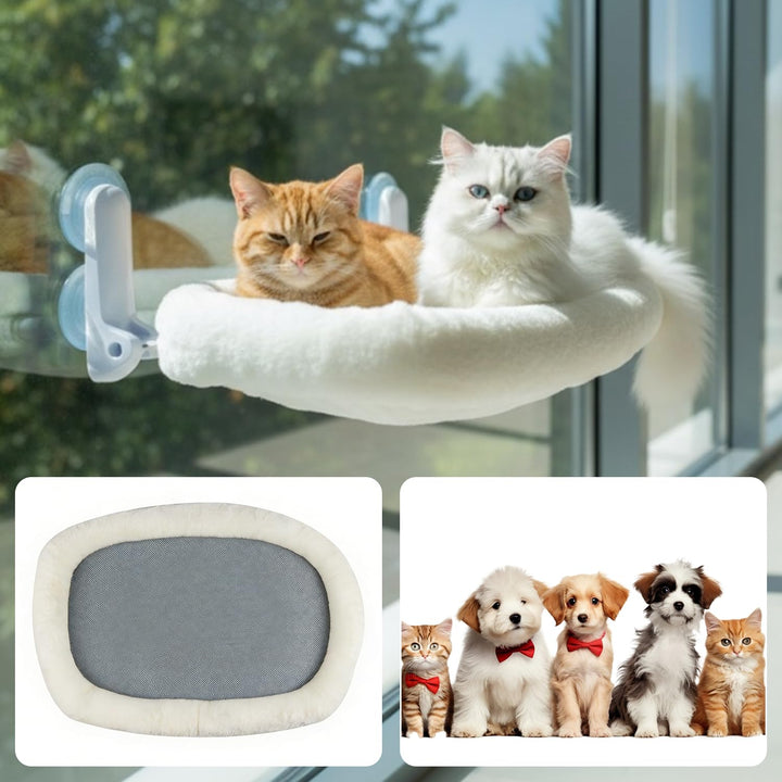 Katzen Fensterliege Hängematte mit Tierhaarentferner Handschuh, Katzen Hängematte mit Abnehmbarem 4-