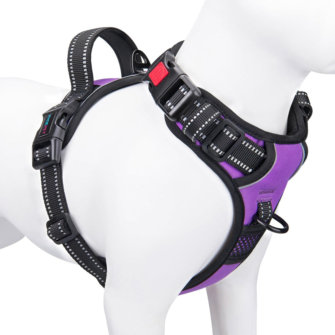 PHOEPET Hundegeschirr Grosse Hunde, Anti Zug, Einfach Anzulegen,Lila,XL | No Pull,Verstellbar, mit G