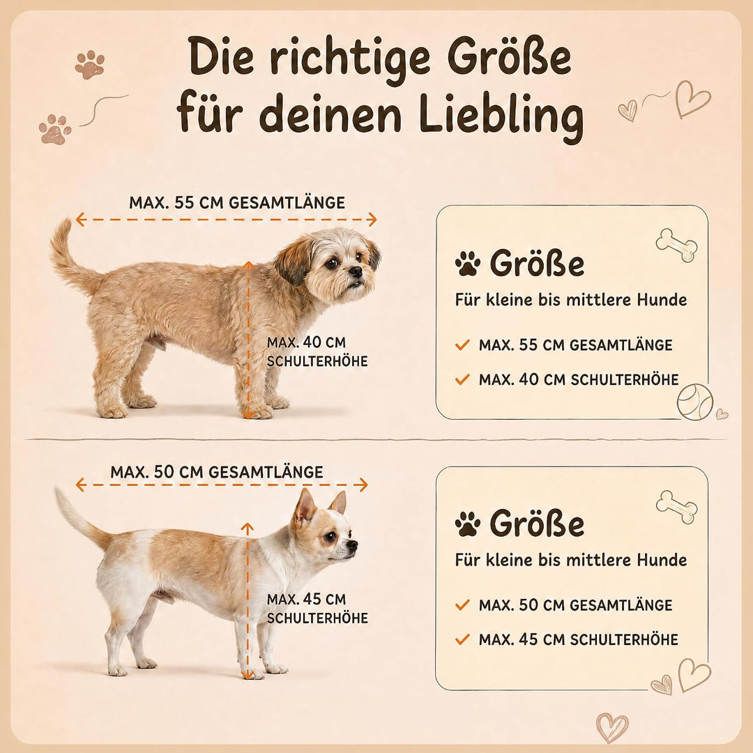 Premium Hunde Autositz, orthopädischer Autositz Hund, Hundesitz Auto Rückbank waschbar, Hundeautosit