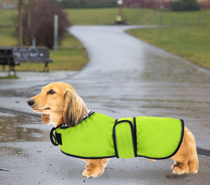 Geyecete Hunde Regenmantel,Einstellbar Wasserdicht Hundejacke für Dackel,Regenmantel mit reflektiere