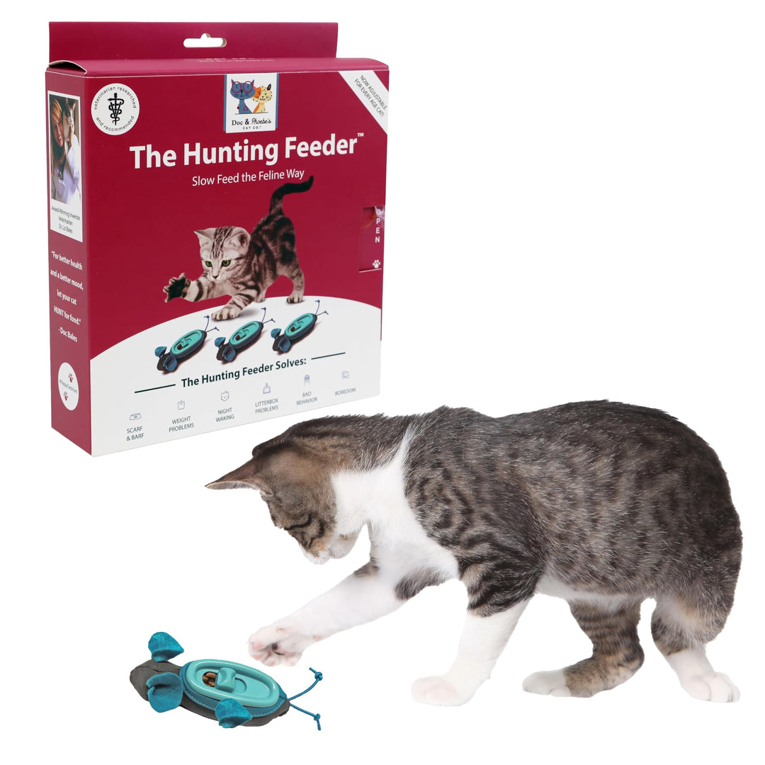 Doc & Phoebe Indoor Hunter Katzen Napf interaktiv einheitsgrösse Unterschiedlich