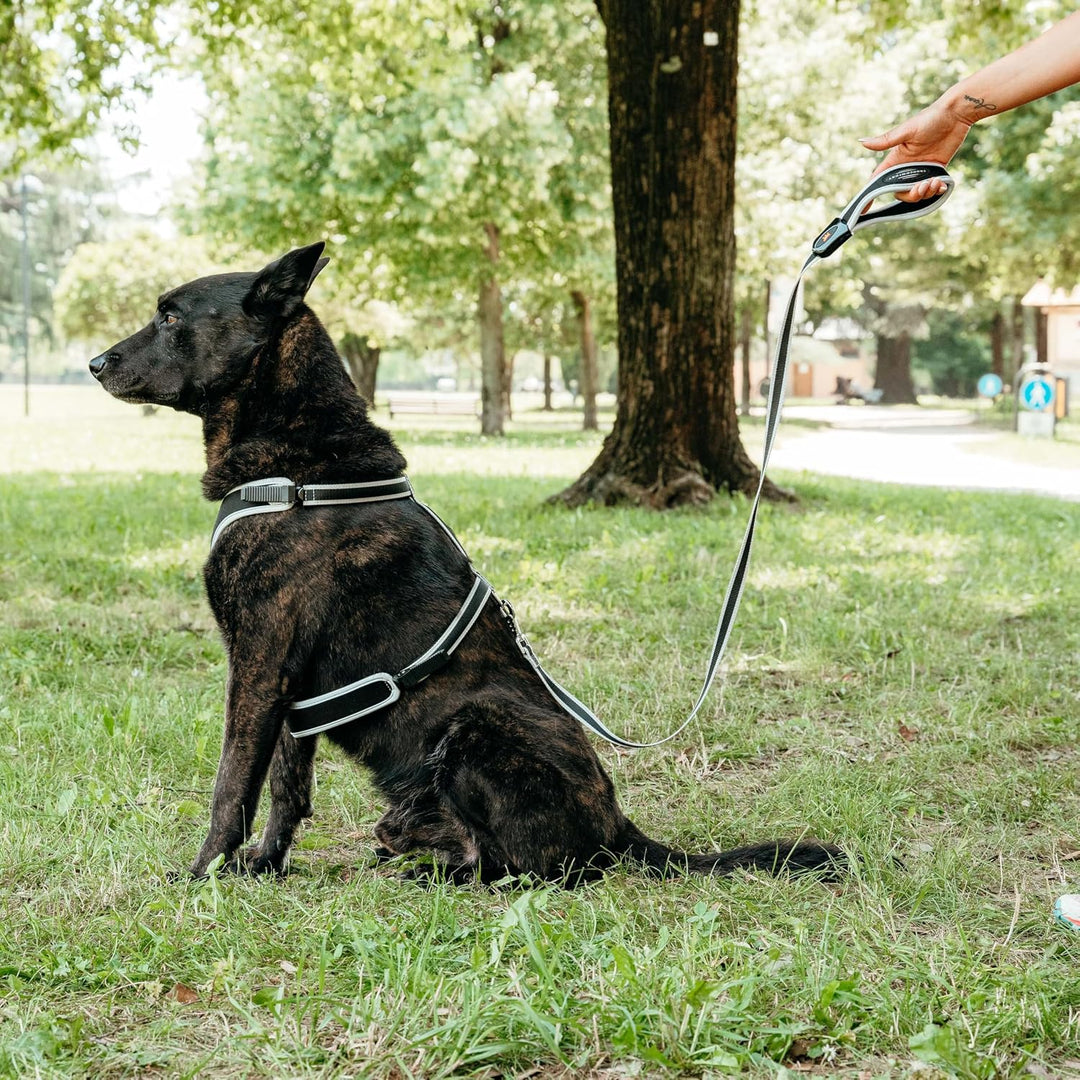 Ferplast Guinzaglio per cani in nylon ERGOCOMFORT G15/120, Impugnatura Ergonomica, Soffice imbottitu