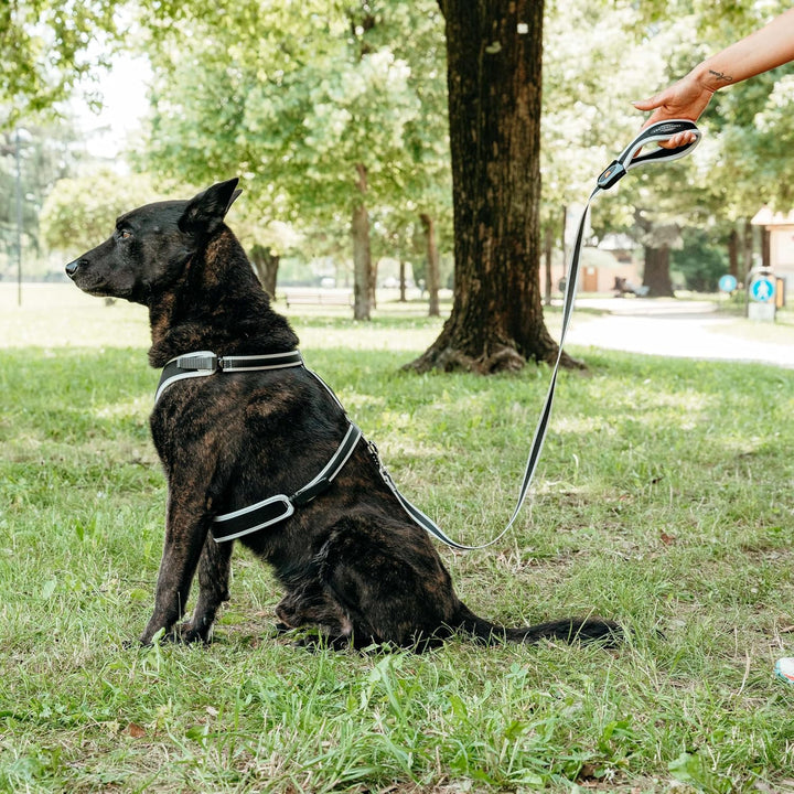 Ferplast Guinzaglio per cani in nylon ERGOCOMFORT G15/120, Impugnatura Ergonomica, Soffice imbottitu