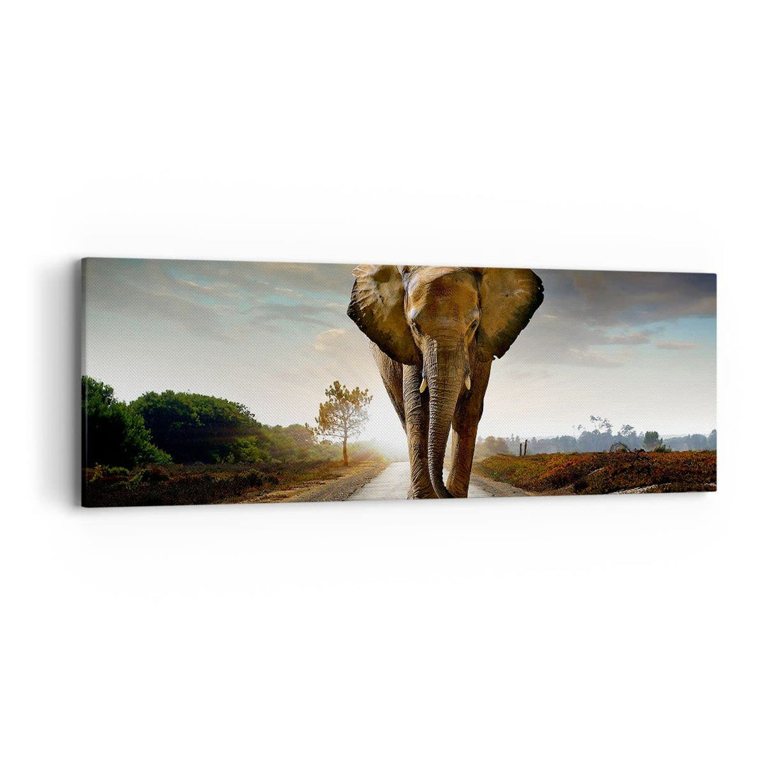 Panorama Bilder auf Leinwand Elefant Strasse Landschaft Leinwandbild 90x30cm Wandbilder Dekoration W