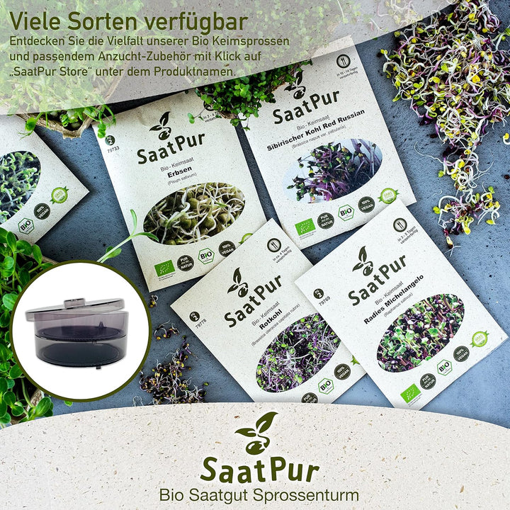 SaatPur® Keimsprossenbox Set 4 mit Vier Etagen als Sprossen Keimgerät: Sprossen Anzucht sowie Microg