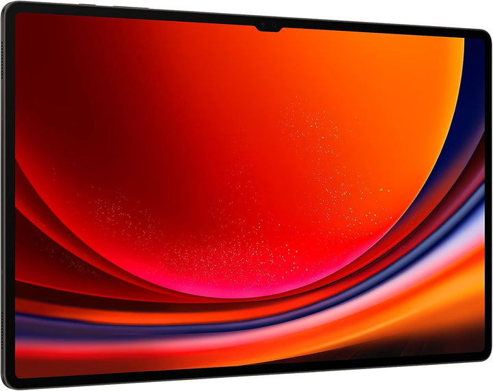 Samsung X910 Galaxy Tab S9 Ultra 512GB/12GB RAM WiFi graphite