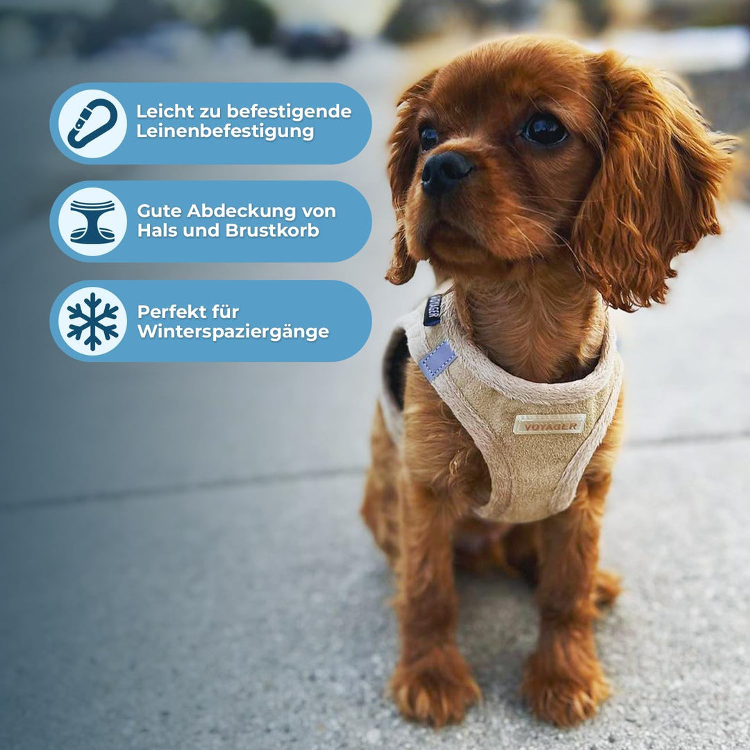 Voyager Step-In Plüsch-Hundegeschirr by Best Pet Supplies - Step-In-Westengeschirr für kleine und mi