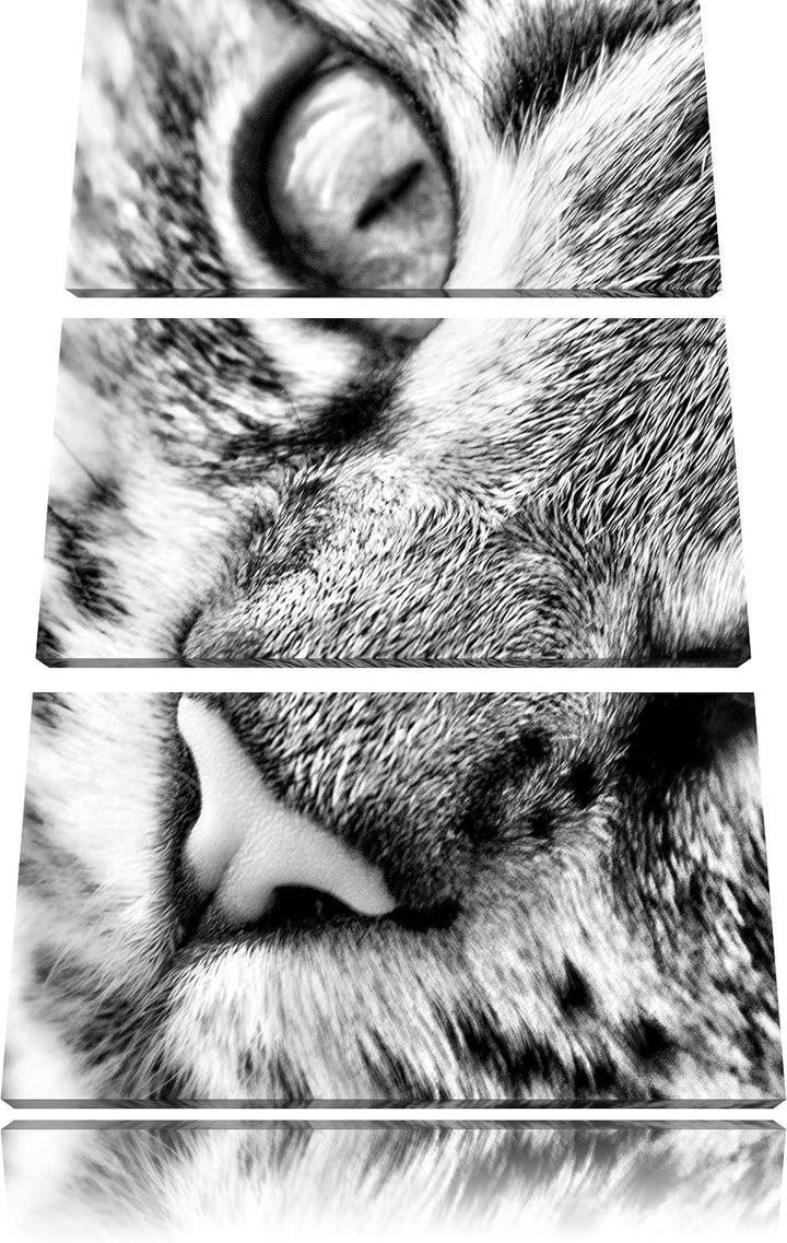 Pixxprint Grosse Katzenaugen / 3-Teilig/Gesamtmass 120cm Leinwandbild bespannt auf Holzrahmen/Wandbi