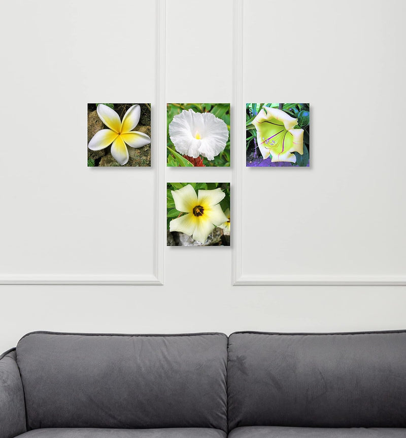 WunschPIXEL – Wandbild Blumen auf weissem Acrylglas, Set 4-teilig je 20x20 cm, quadratisch, tropisch