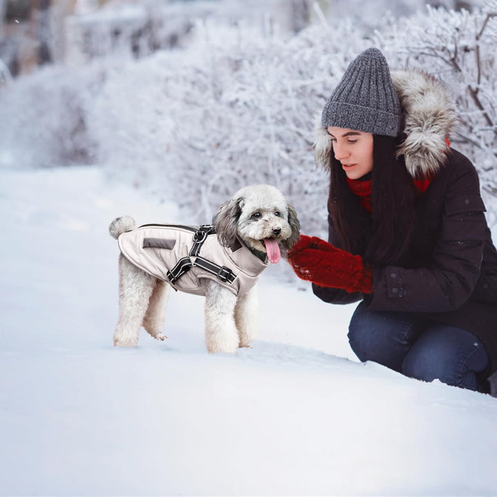 Hunde Winterjacken,Warme Hundemäntel Reflektierend Hundekleidung wasserdichte Welpenweste für kaltes