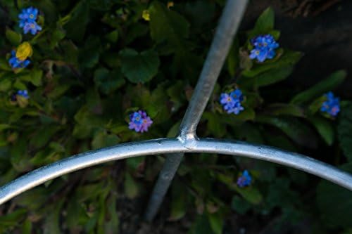 KUHEIGA Stabiler Staudenhalter Verzinkt H: 80cm, Volleisen Strauchhalter, Rankgerüst,