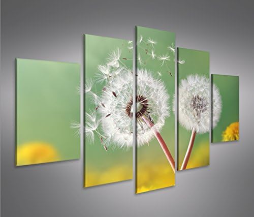 islandburner Bild Bilder auf Leinwand Pusteblume V2 Natur Blumen MF XXL Poster Leinwandbild Wandbild