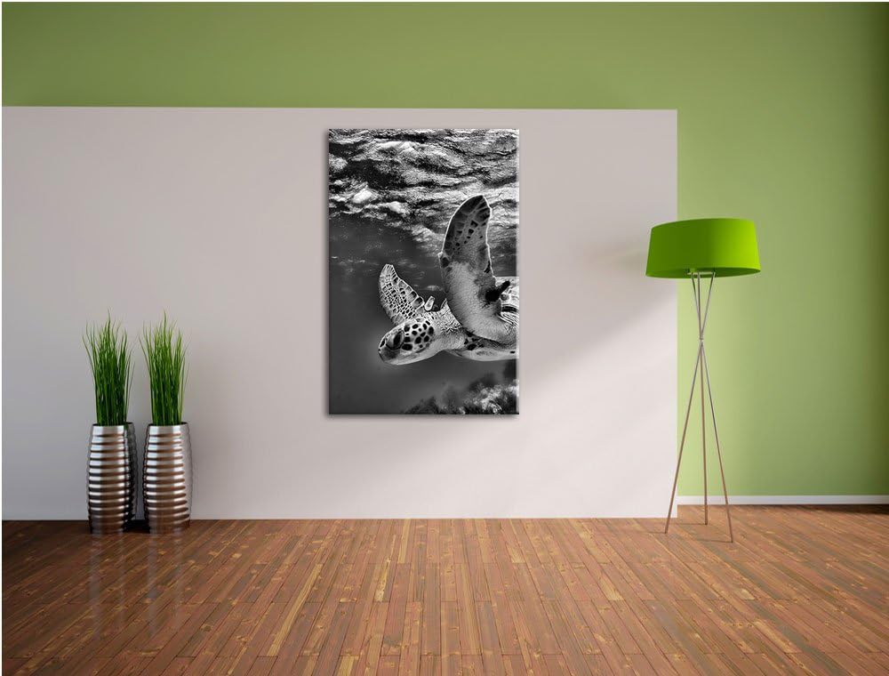 Pixxprint Schildkröte im Riff als Leinwandbild/Grösse: 100x70 cm/Wandbild/Kunstdruck/fertig bespannt