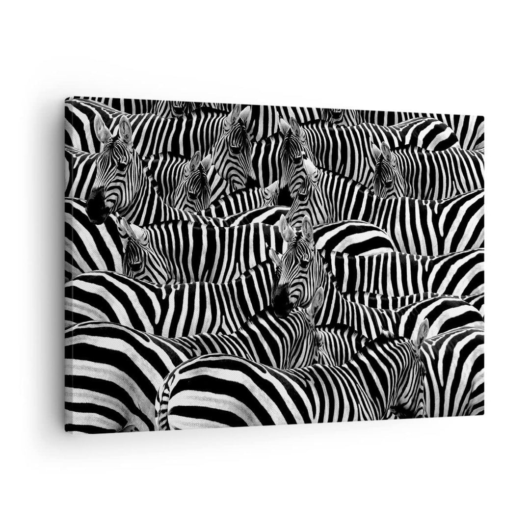 Bilder auf Leinwand Tiere Zebra Streifen Leinwandbild mit Rahmen 70x50cm Wandbilder Dekoration Wohnz