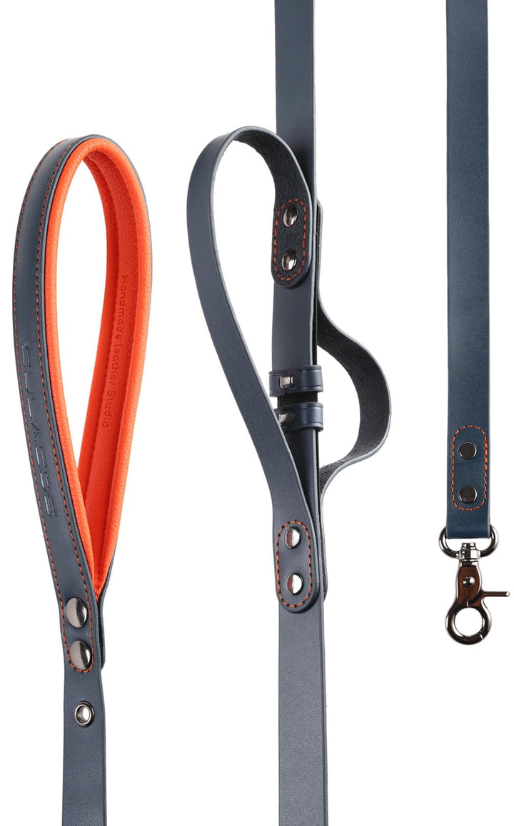 Culacos Leder Hundeleine - Handgemachte 1,3m mit 2-Griff-Design für kleine und mittelgrosse Hunde, B