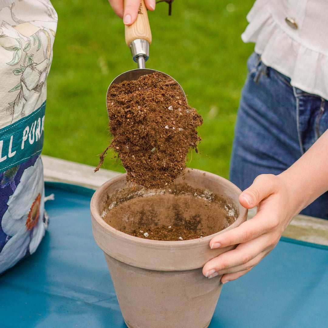 Garten Lose Erde Schaufel, Edelstahl Hand Schaufel Spaten mit Holzgriff Multi Funktion Gartenarbeit
