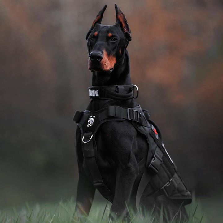 OneTigris Hundegeschirr, X Destroyer Taktisches Geschirr Hund 3 Griffe Heavy Duty Hundeweste mit Met