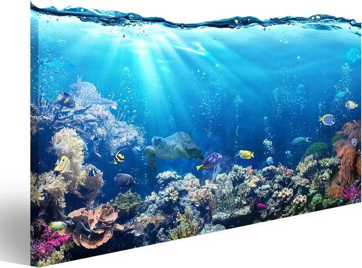 islandburner Bild auf Leinwand Unterwasser Szene Riff Und Tropischen Fischen Aquarium Bilder Wandbil