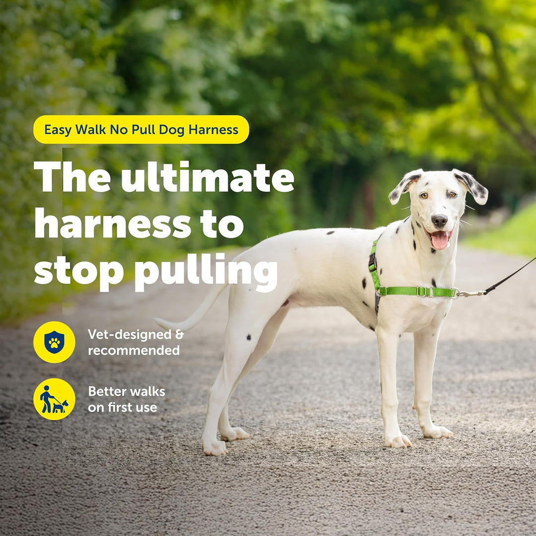 PetSafe Easy Walk Hundegeschirr Apfelgrün/Grau Medium/Large (Pack of 1), Apfelgrün/Grau Medium/Large