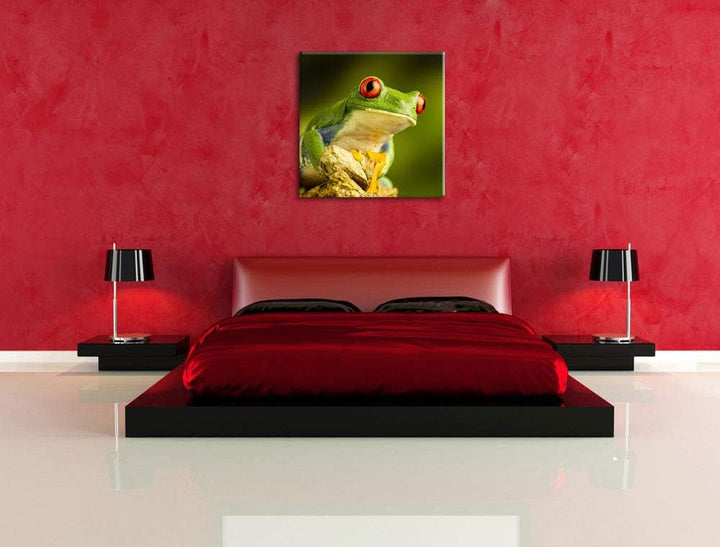 Grüner Rotaugen Frosch, Format: 70x70 auf Leinwand, XXL riesige Bilder fertig gerahmt mit Keilrahmen