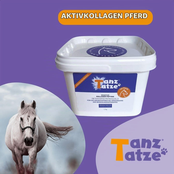 TanzTatze® bioaktive Kollagenpeptide für Hund und Katze – Gelenkpulver auch als Vorsorge – gut vertr