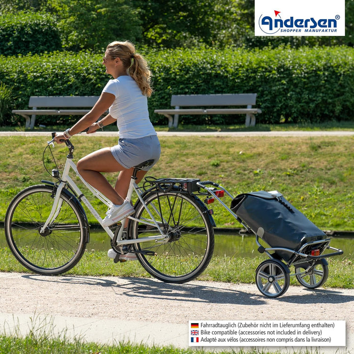 ANDERSEN Einkaufstrolley - Royal Sh. Plus Ortlieb anthrazit, Anthrazit
