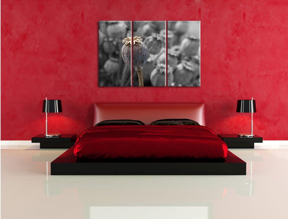 Pixxprint Mohnkapsel der Mohnblume B&W Detail 3-Teiler Leinwandbild 120x80 Bild auf Leinwand