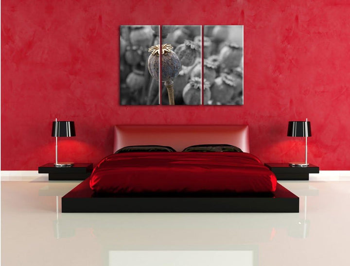 Pixxprint Mohnkapsel der Mohnblume B&W Detail 3-Teiler Leinwandbild 120x80 Bild auf Leinwand