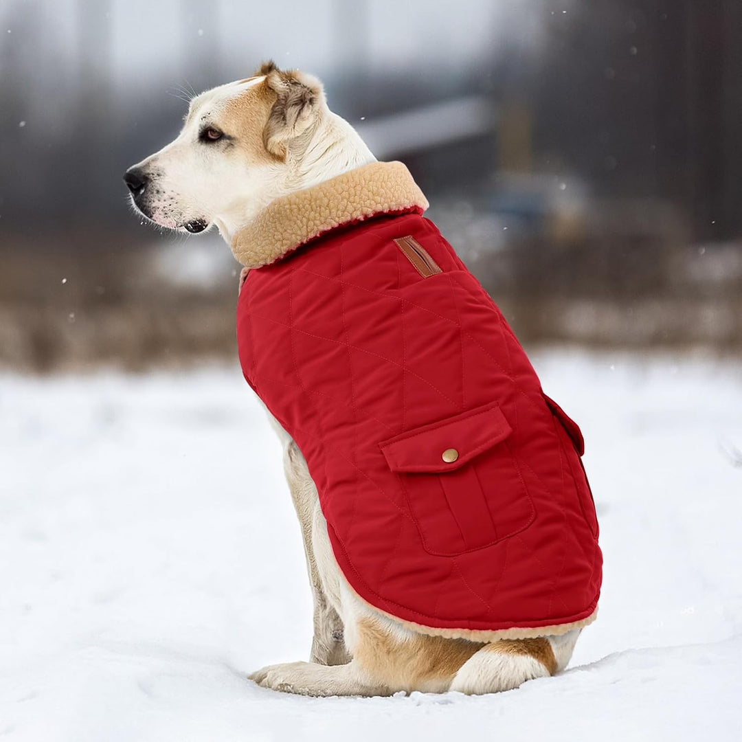 CITÉTOILE Wintermantel Hundemantel, Warme Winterjacken mit Fleece für Hunde,Hundejacke Hundekleidung