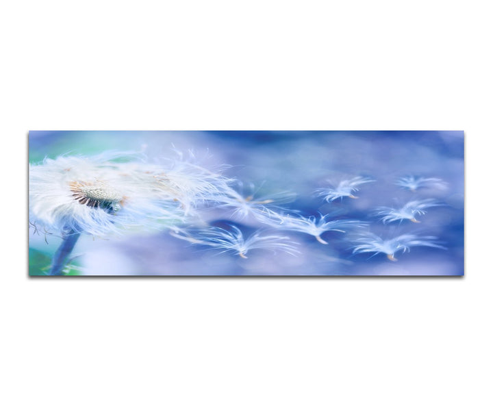 Paul Sinus Art Panoramabild auf Leinwand und Keilrahmen 150x50cm Pusteblume Löwenzahn Windstoss Blau