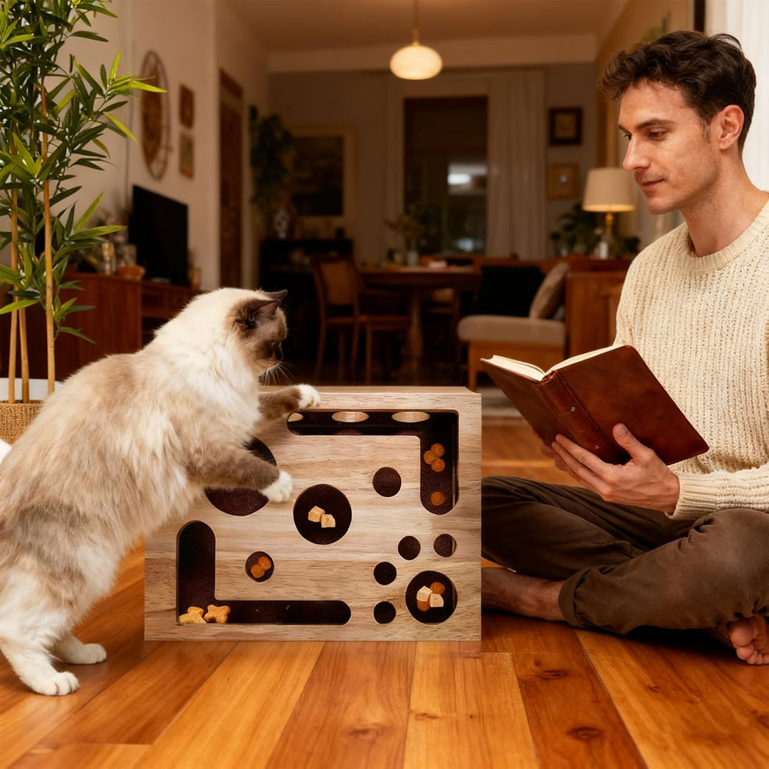 2 Stück Cat Nail File Enrichment Box, Holz Katzenpuzzle Anreicherungsbox Mit Kratzer, Interaktives L