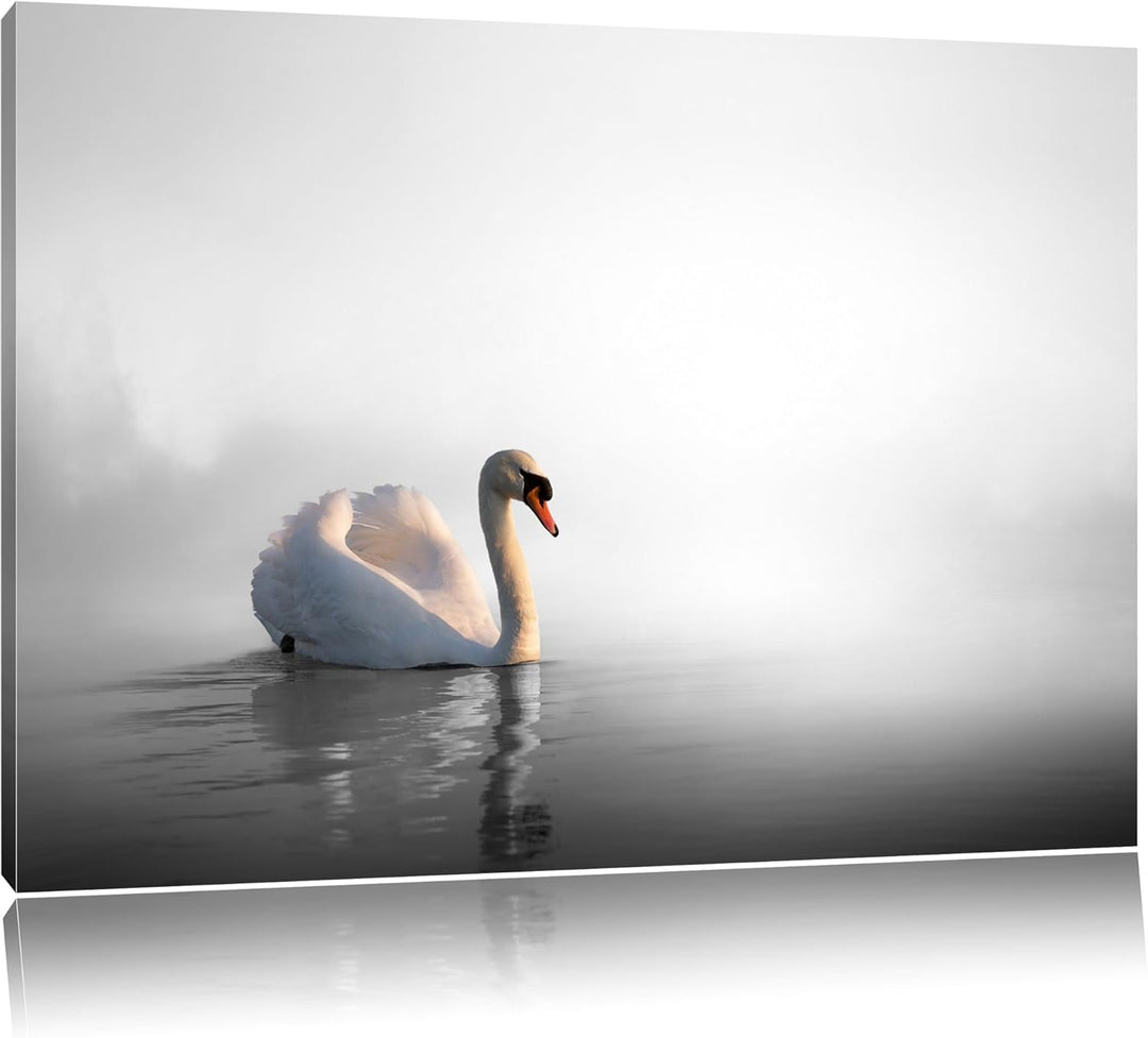 einsamer Schwan auf See schwarz/weiss Format: 100x70 auf Leinwand, XXL riesige Bilder fertig gerahmt