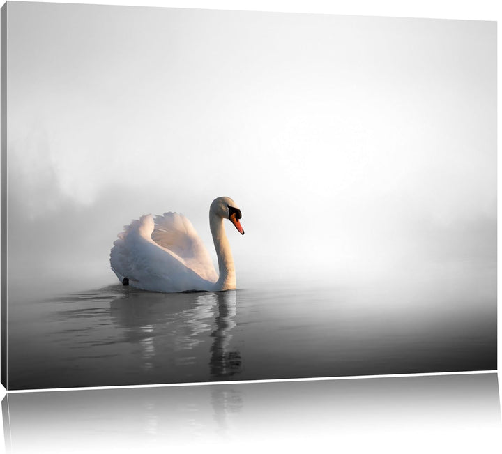 einsamer Schwan auf See schwarz/weiss Format: 100x70 auf Leinwand, XXL riesige Bilder fertig gerahmt