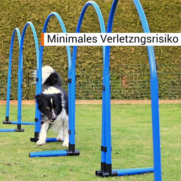 Hoopers Hoop – wetterfest, VDH-konform &amp; farbig – mit Stecksystem für sicheres Hundetraining – aus r