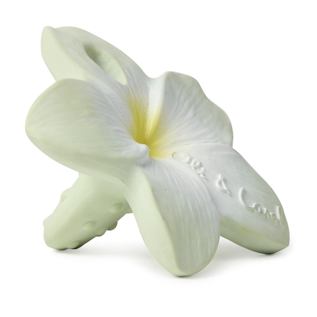 Chewy - Bali la fleur