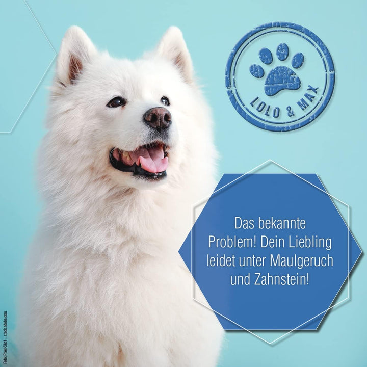 Lolo &amp; Max natürliche Zahnpflege für Hund &amp; Katze - DentaCare Trinkwasserzusatz zur Zahnreinigung fü