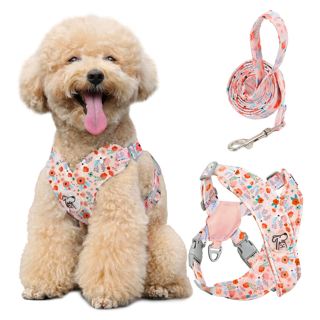 Pawaboo Hundegeschirr mit Hundeleine Set, X-Rahmen Verstellbares Anti Zug Anti-Erstickung Hund Brust