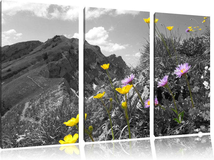Traumhafte Blumenwiese im Frühling schwarz/weiss 3-Teiler Leinwandbild 120x80 Bild auf Leinwand, XXL