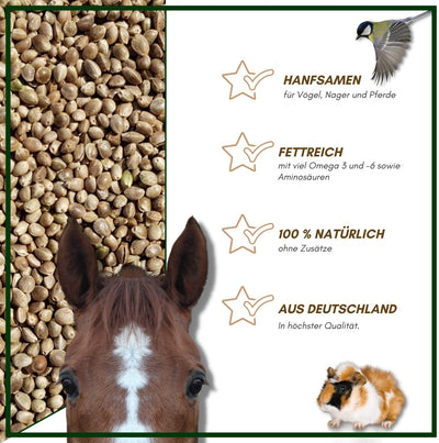 SUPRAVIT Hanf 25kg - Hanfsamen Vogelfutter & Wildvogelfutter - energiereiche Ergänzung zum Körnerfut