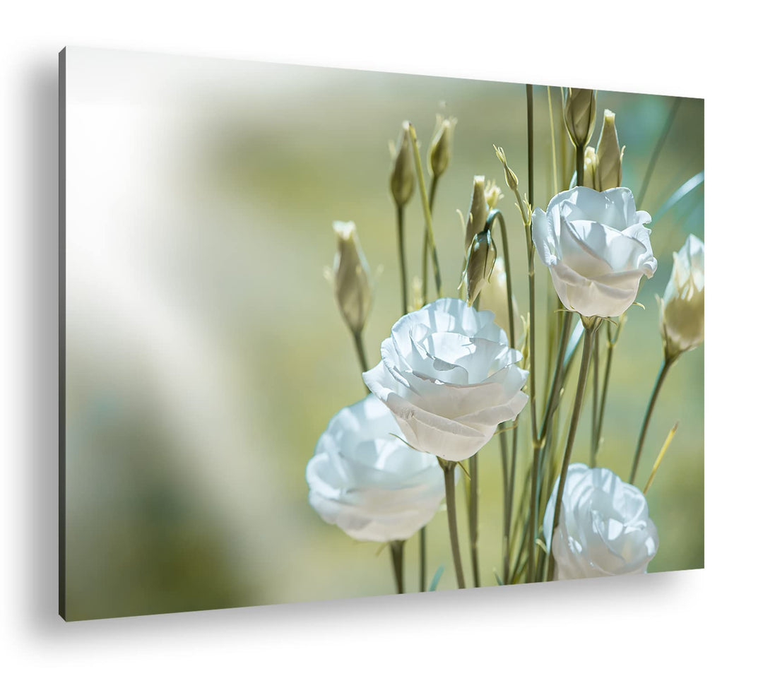 deyoli weisser Blumenstrauss Format: 80x60 als Leinwandbild, Motiv fertig gerahmt auf Echtholzrahmen