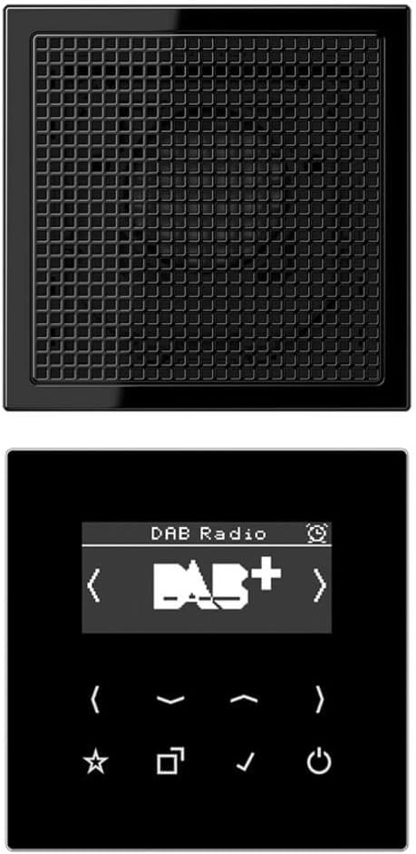 Jung DABLS1SW Smart Radio DAB plus Set Mono mit Lautsprecher Serie LS Schwarz