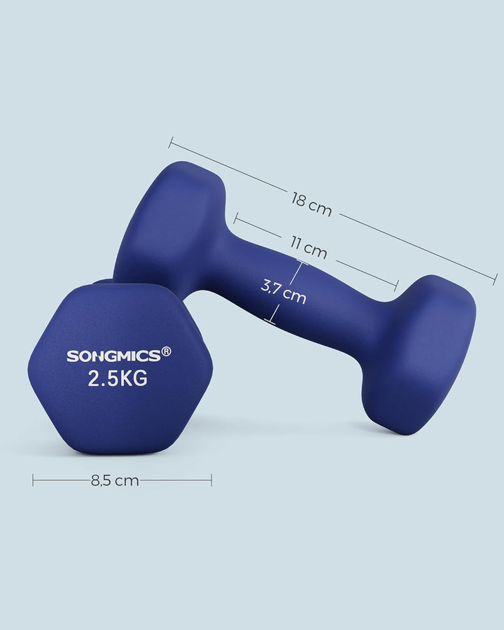 SONGMICS Hanteln, 2er Set,Hantelset, Kurzhanteln, Hexagon, Neopren-Beschichtung, Krafttraining, Work