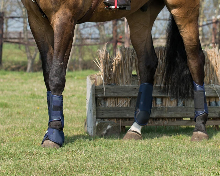 QHP Q-Cross Eventing Gamaschen hinten, Grösse:L, Farbe:Navy Large Navy, Large Navy